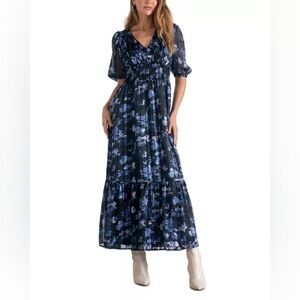 New Elan Womens V-Neck Maxi Dress X-Small Blue Floral